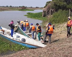 Restauración Ambiental en el Complejo Cenagoso de Pansegüita